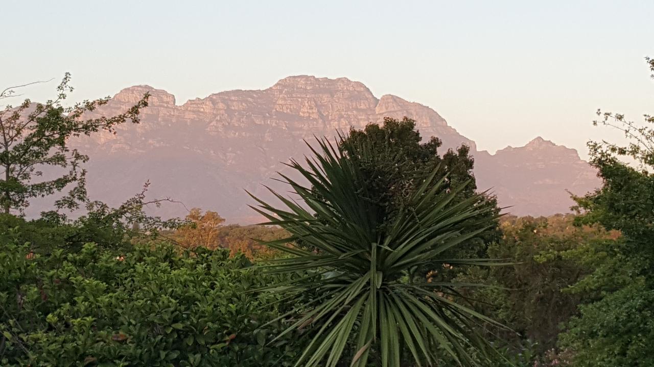 Edelweiss Bed & Breakfast Stellenbosch Kültér fotó